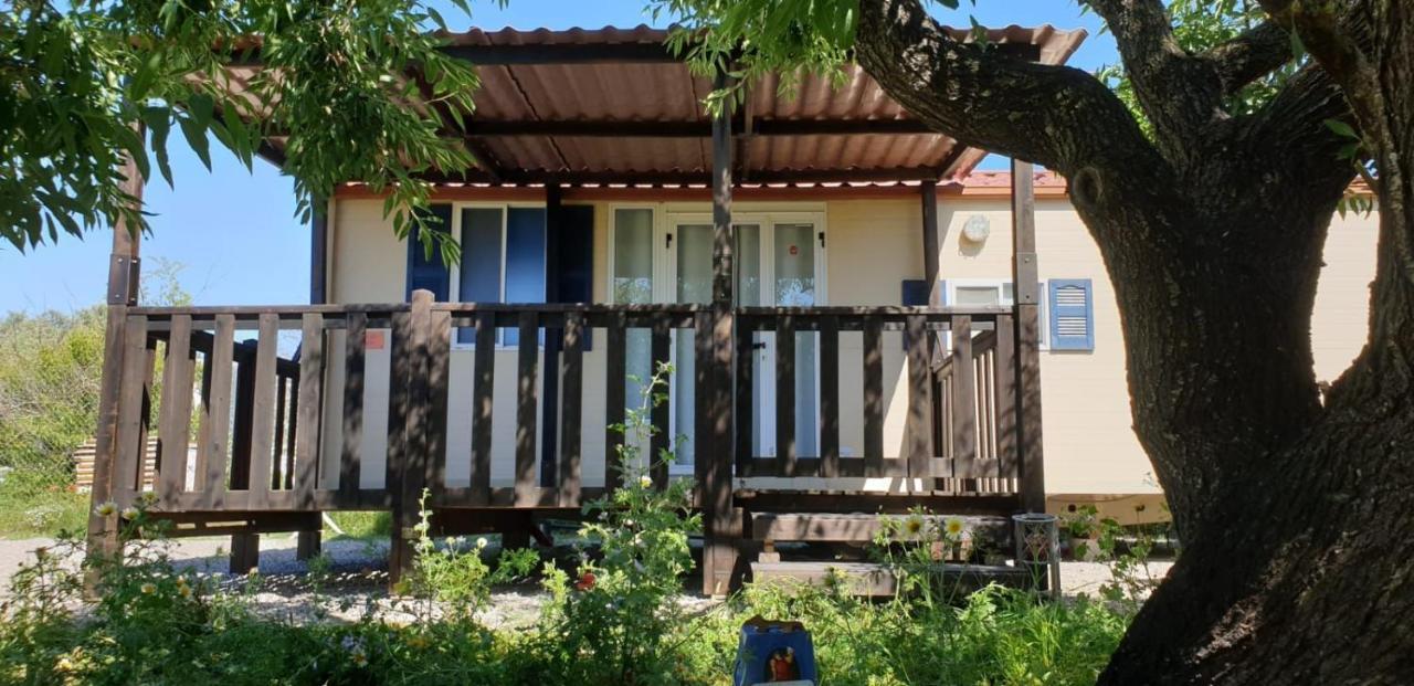 Hotel The Farm Tiny House - Tiny Casa Chiclana de la Frontera Exteriér fotografie